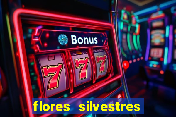 flores silvestres desbravadores desbravadores 25